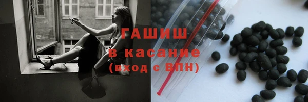 хмурый Белокуриха