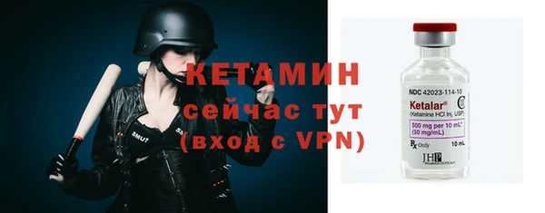 хмурый Белокуриха
