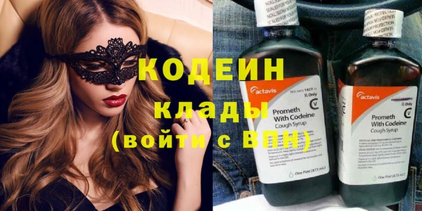 хмурый Белокуриха