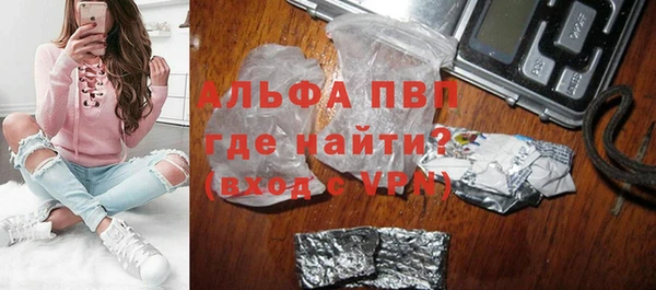 хмурый Белокуриха
