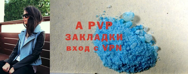 хмурый Белокуриха