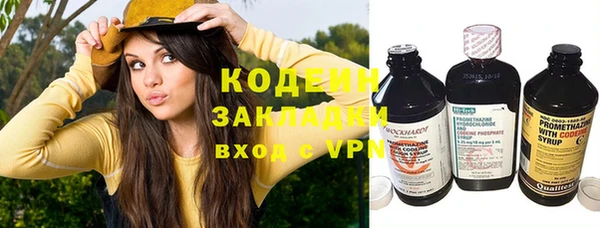хмурый Белокуриха