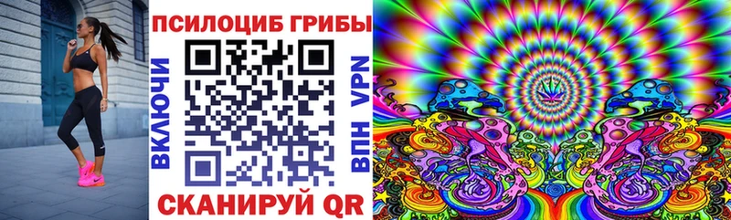 Псилоцибиновые грибы Psilocybine cubensis  Курганинск 